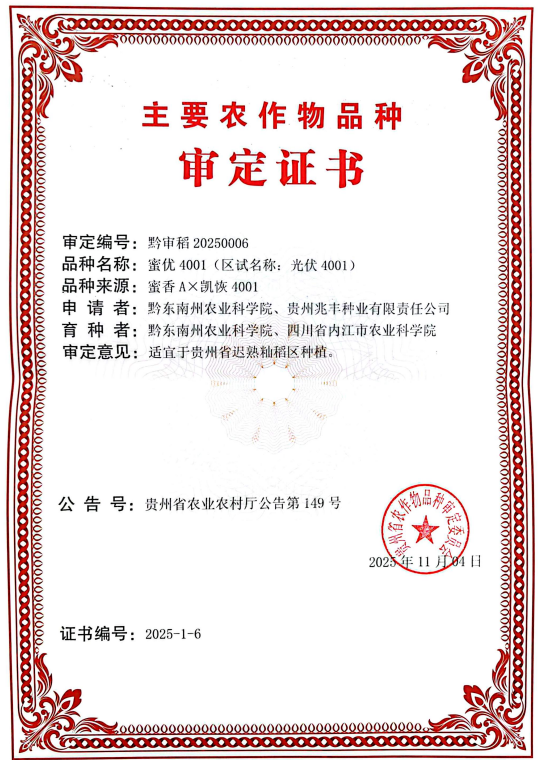 贵州水稻新贵“蜜优4001”:农业新希望