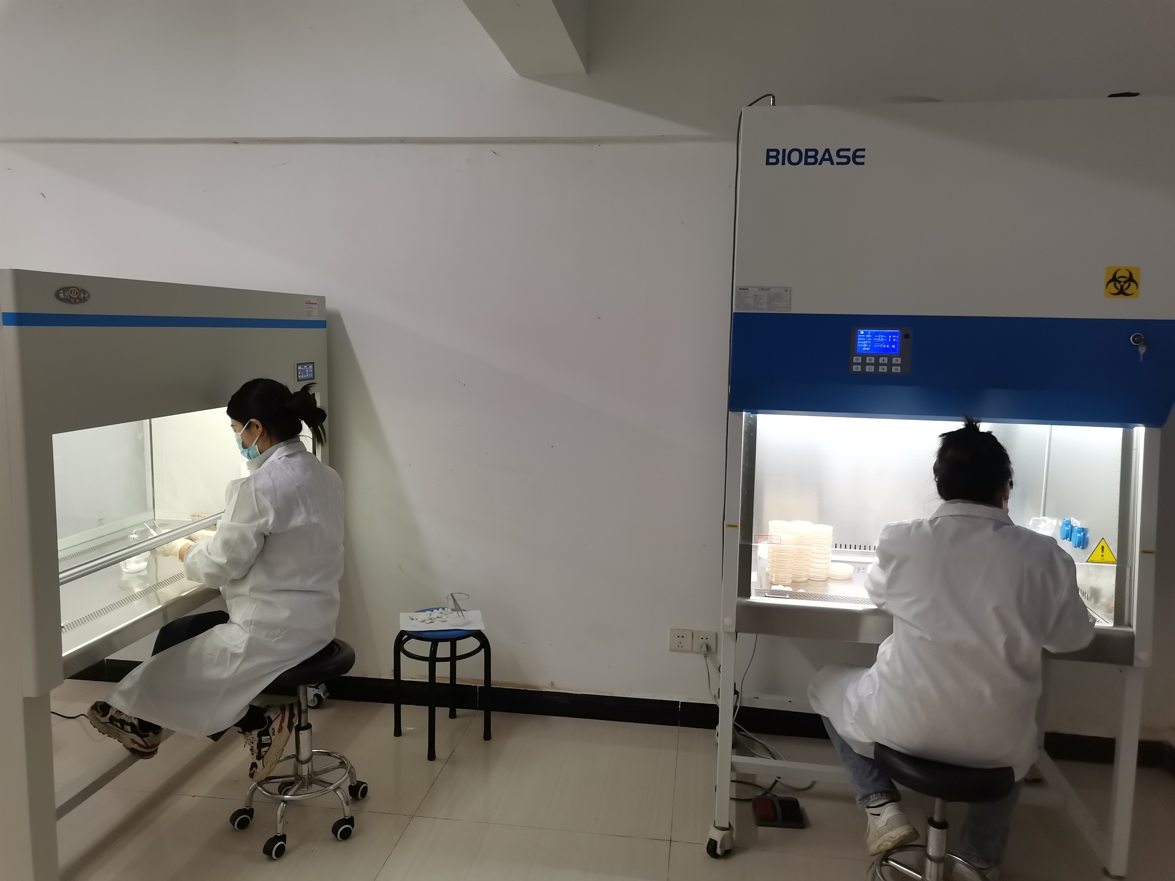 开展真菌资源收集,丰富种质资源库建设