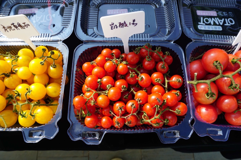 黔东南州农科院斩获四项国家品种登记证书填补凯里酸汤原料品种空白