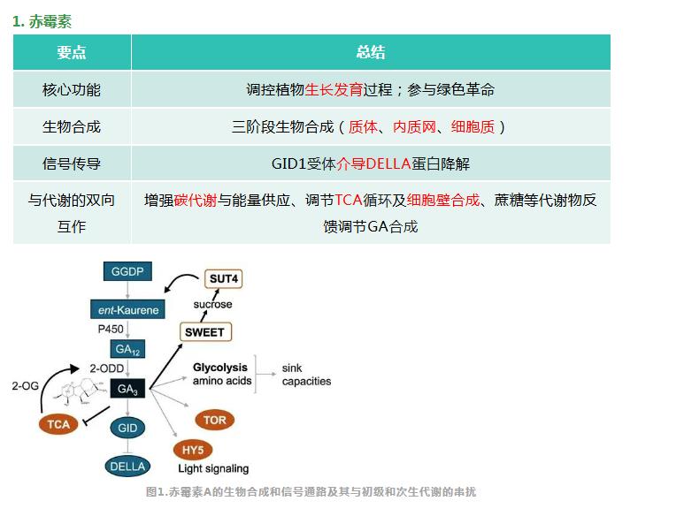 硬核收藏！60 种植物激素与生长调节剂全品类应用手册（全新版）